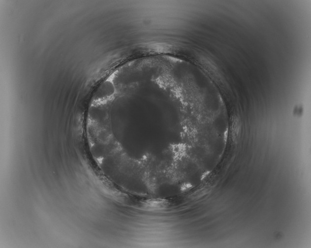 X0000113980410200910231712