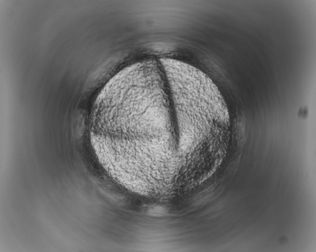 X0000113980412200910231712