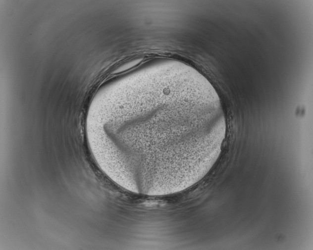 X0000113980415200910231712