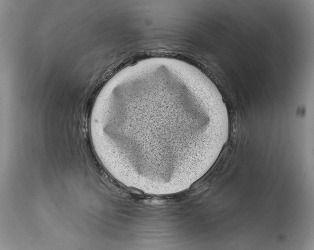 X0000113980419200910231712