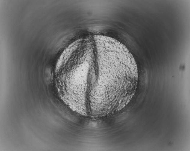 X0000113980420200910231712