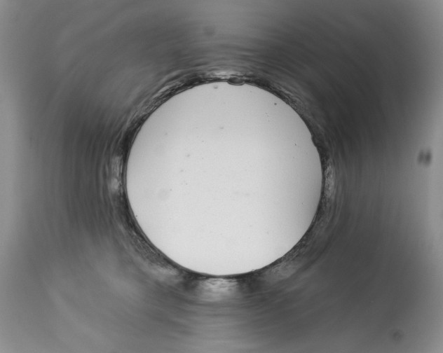 X0000113980421200910231712