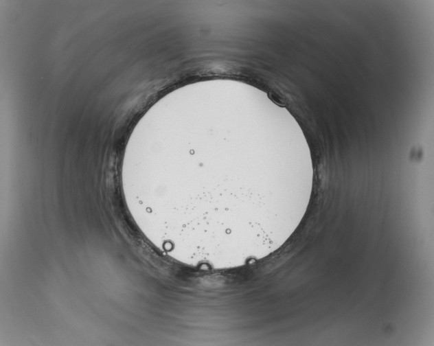 X0000113980423200910231712