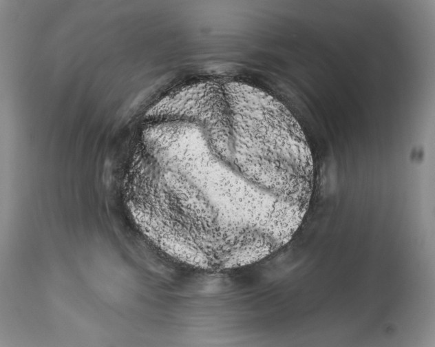 X0000113980424200910231712