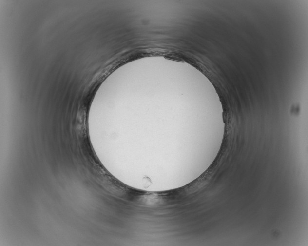 X0000113980425200910231712
