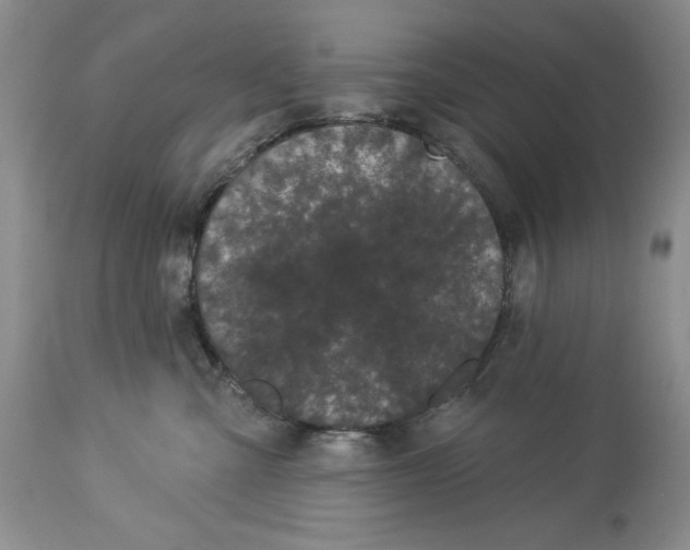 X0000113980427200910231712