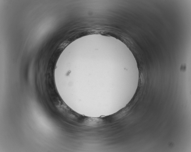 X0000113980429200910231712