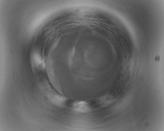 X0000113980431200910231712
