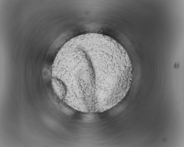 X0000113980432200910231712