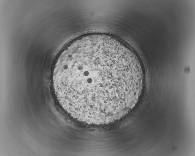 X0000113980434200910231711