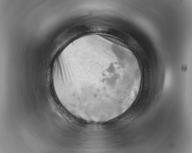 X0000113980435200910231711