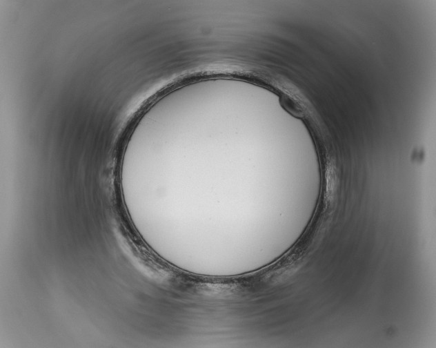 X0000113980436200910231711