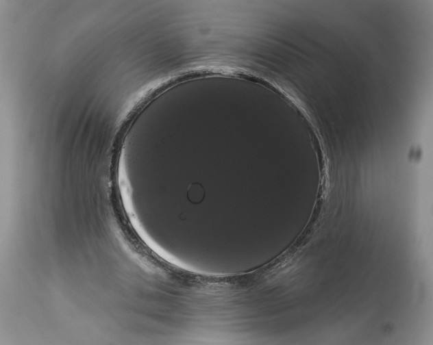 X0000113980438200910231711