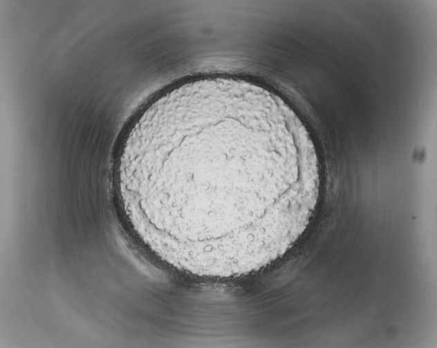 X0000113980439200910231711