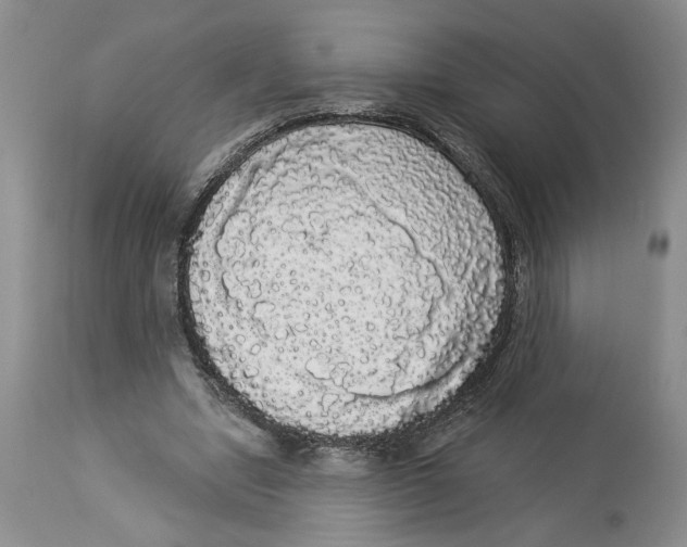 X0000113980442200910231711