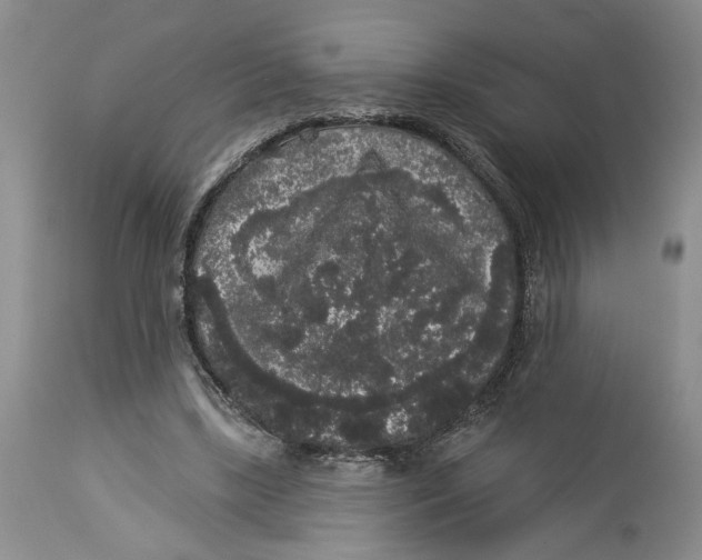 X0000113980443200910231711