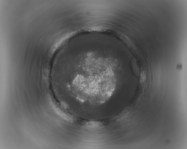 X0000113980444200910231712