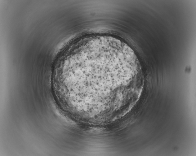 X0000113980446200910231712