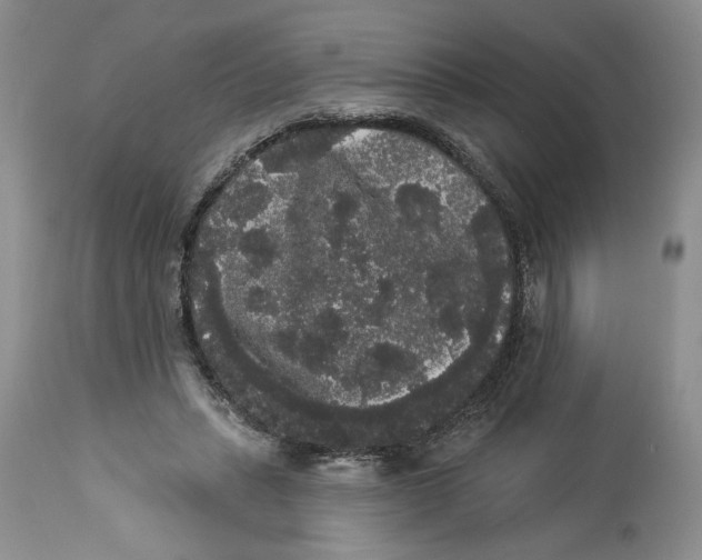 X0000113980447200910231712