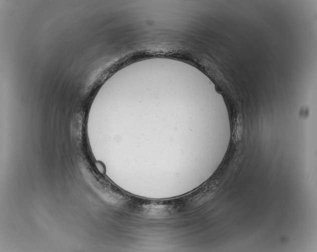 X0000113980448200910231712