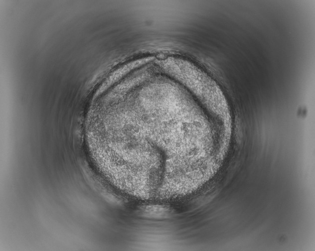 X0000113980449200910231712