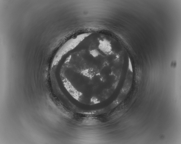 X0000113980451200910231712