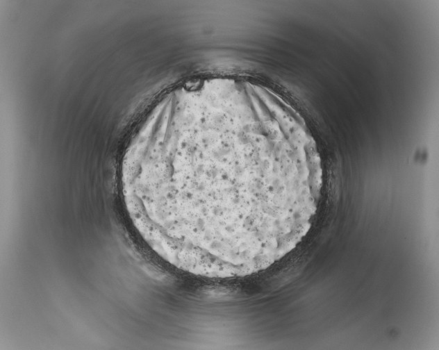 X0000113980453200910231712