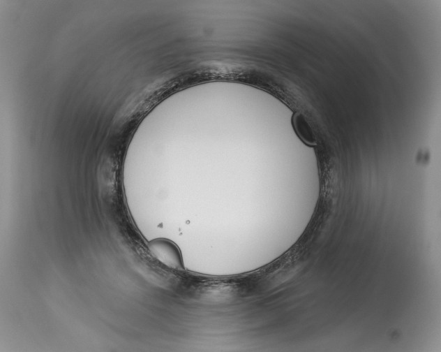 X0000113980456200910231712