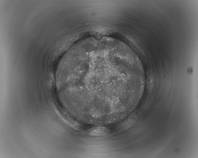 X0000113980459200910231712