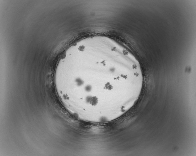 X0000113980462200910231712