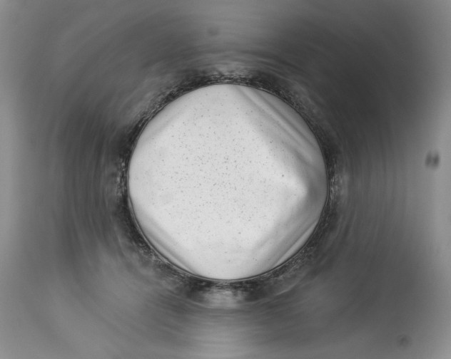 X0000113980464200910231712