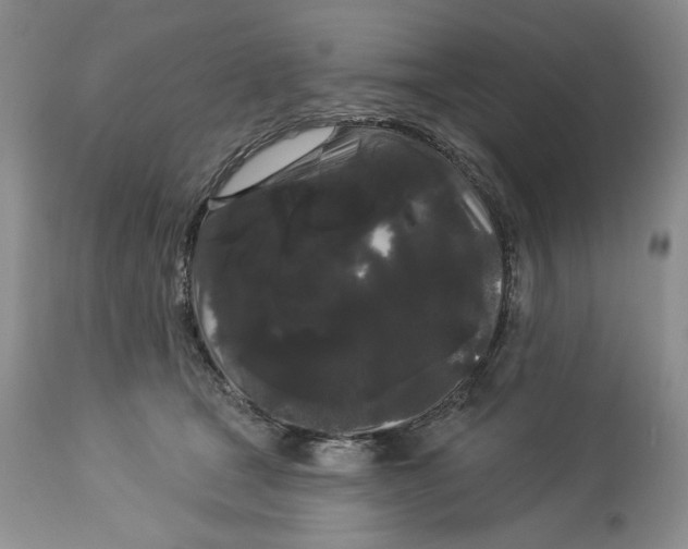 X0000113980465200910231712