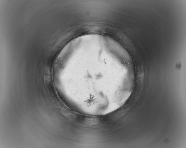 X0000113980469200910231712