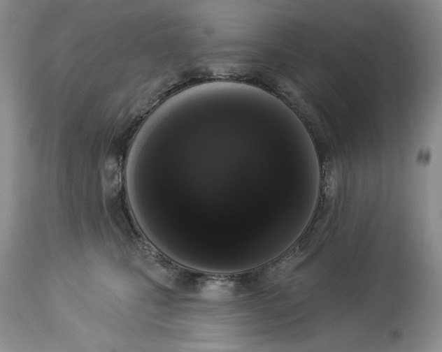 X0000113980471200910231712