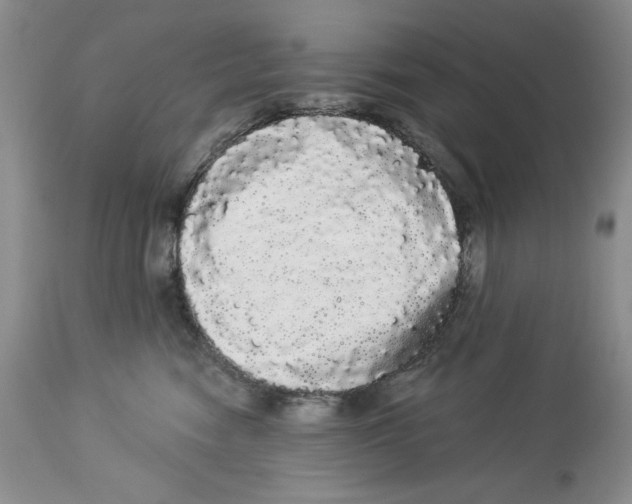 X0000113980474200910231712