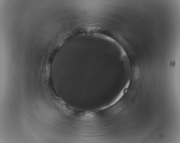 X0000113980475200910231712