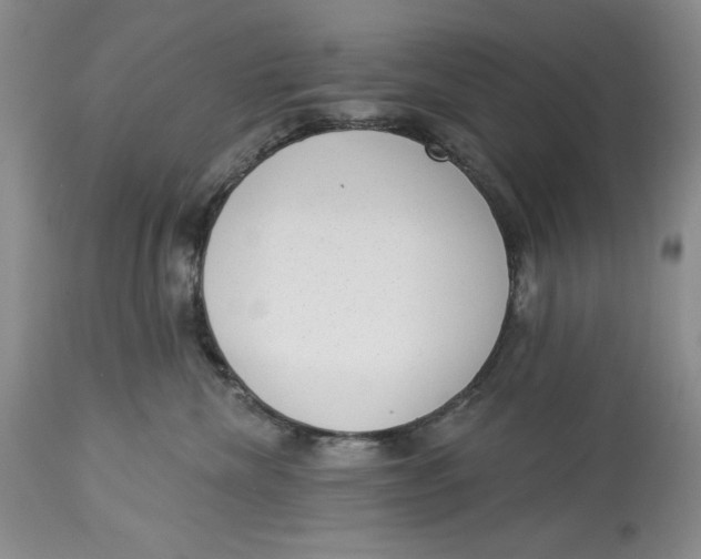 X0000113980476200910231712