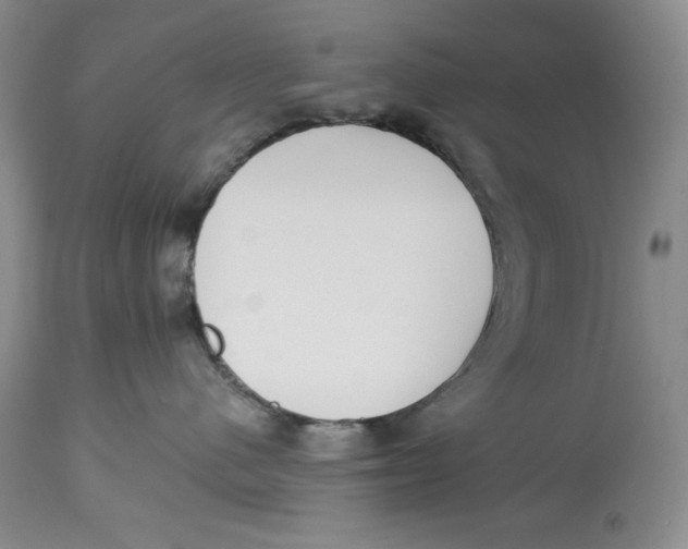 X0000113980480200910231712