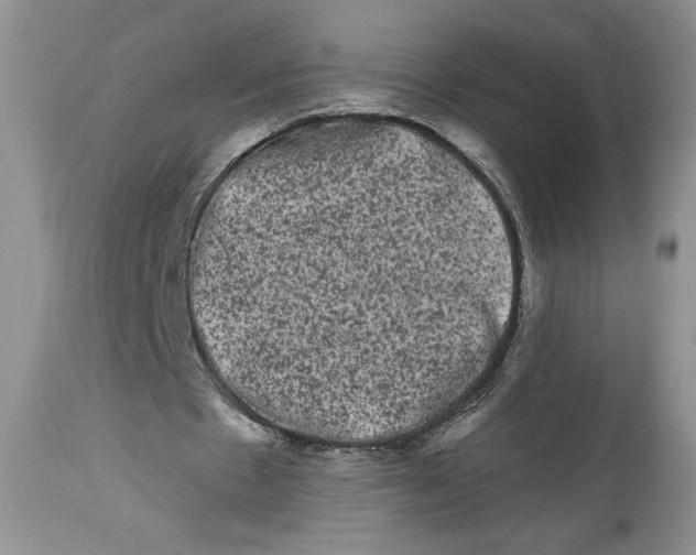 X0000113980481200910231711