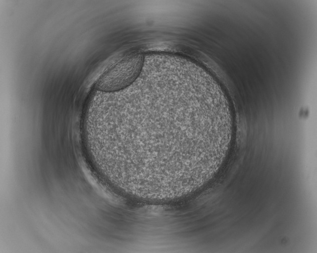 X0000113980482200910231711