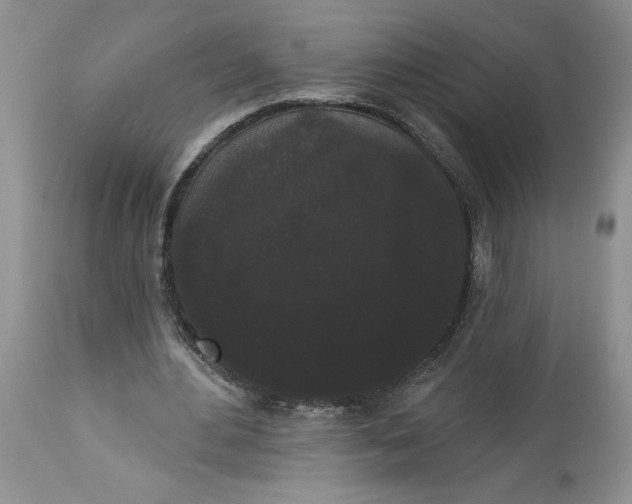 X0000113980484200910231711