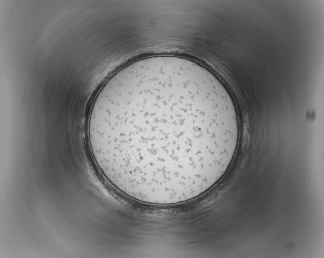 X0000113980485200910231711