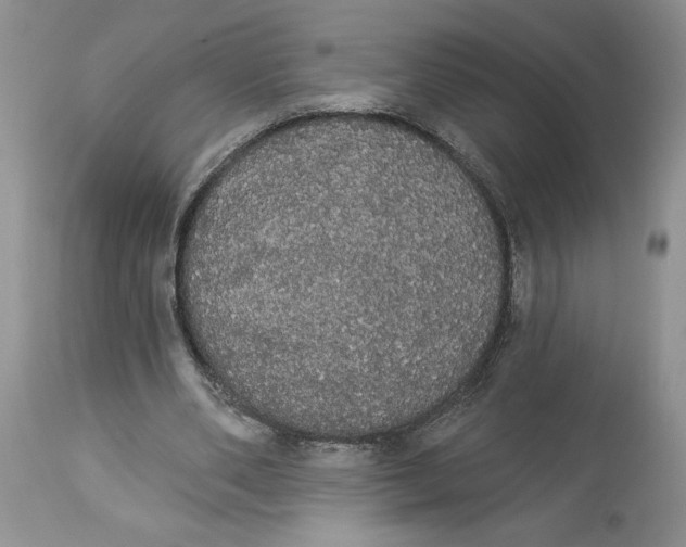 X0000113980486200910231711