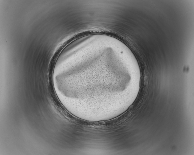 X0000113980488200910231711