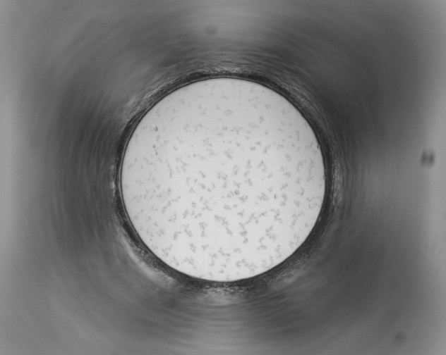 X0000113980489200910231711