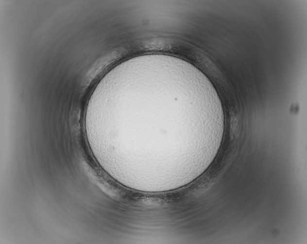 X0000113980490200910231711