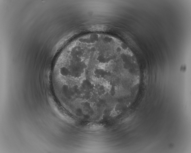 X0000113980491200910231711