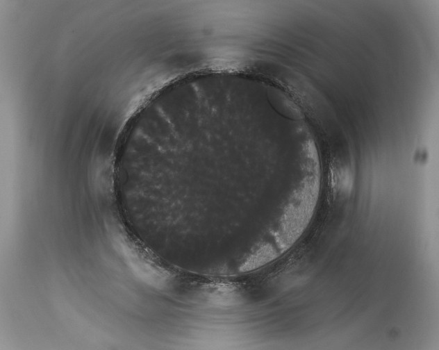 X0000113980492200910231711