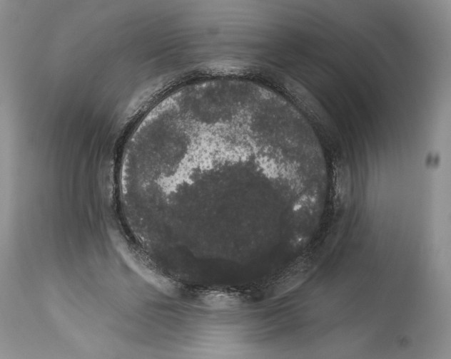 X0000113980494200910231711