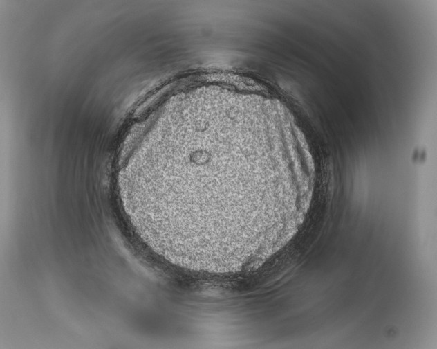 X0000113980495200910231711